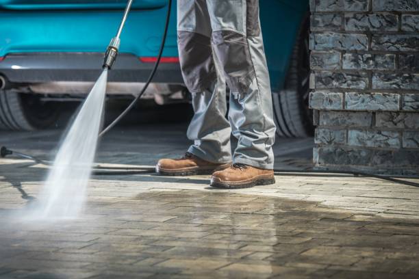 Best Pre-Holiday Cleaning  in North Puyallup, WA