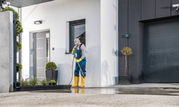Best Building Exterior Washing  in North Puyallup, WA
